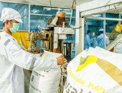 PT SGN Belum Lakukan Penjualan Produk Secara Retail Melalui Market Place