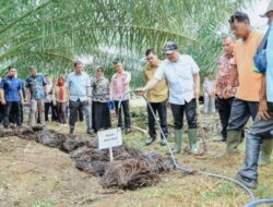 Bupati Batu Bara Kenalkan Pupuk Organik Limbah Sawit