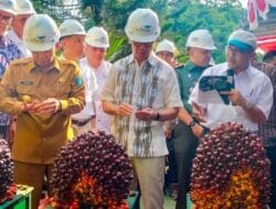 PTPN III Kembangkan Minyak Goreng Merah
