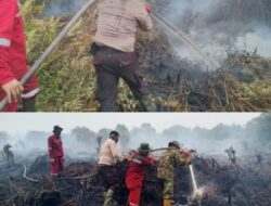 Team Karhutla Polsek Tambang Gerak Cepat Padamkan Api di Desa Rimbo Panjang