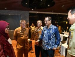 Terkait Satu Data Indonesia, Ilyas Sitorus Ingatkan Pentingnya Standarisasi Aplikasi