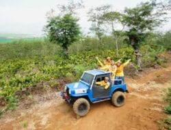 PTPN IX Buka Peluang Kerjasama Wisata Agro dengan Investor