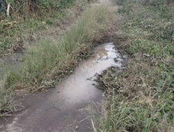 Pengerasan Jalan Nagori Perasmian Dolok Silau Berlubang Mirip Kubangan Kerbau
