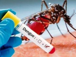 Ngeri! Kasus DBD di RI Capai 62 Ribu