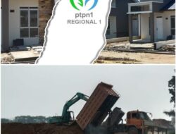 PTPN 1 Regional 1 Fokus Urus Aset Potensial