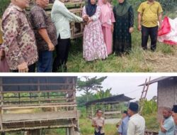 Wabub Sergai Serahkan Bantuan Ayam Kampung dan Kambing