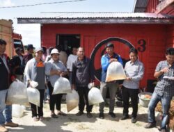 Pantur Banjarnahor Bersama Dinas Kelautan dan Perikanan Sumut Restoking di Humbahas