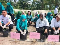 Dinas Pertanian dan Perkebunan Batu Bara Lakukan Gertam Cabai Merah