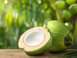 Pakai Ramuan Air Kelapa Bikin Rambut Jadi Indah
