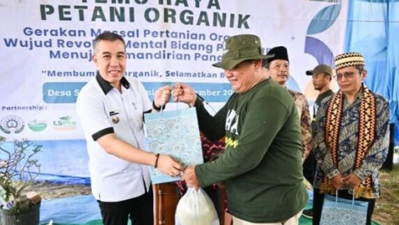 Bupati Pesawaran Panen Padi Organik Bersama Kelompok Tani