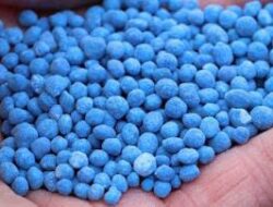 Investasi Pengembangan Pupuk Indonesia Diduga Boros Sebesar Rp13.760.794.346 (2)