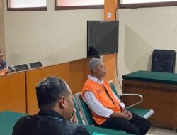 Kakek 61 Tahun Dipenjara Gegara Pelihara Ikan Aligator