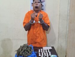 Polres Langkat Tangkap Pemilik Daun Ganja