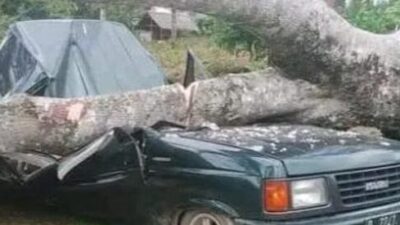 Tragis, Sekeluarga Tewas Tertimpa Pohon Durian