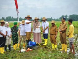 Pj Bupati Langkat Luncurkan Program Bis LIPIN