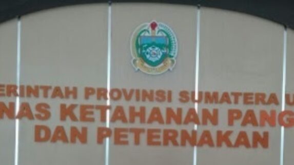 Program Dinas Ketapang dan Peternakan Pemprovsu Diduga Menyimpang