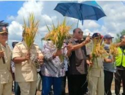 Syah Afandin Akan Jadikan Langkat Lumbung Pangan Nasional