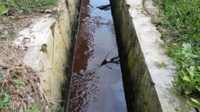 Warga Desa Tandem Hilir II Resahkan Limbah Darah Bebek