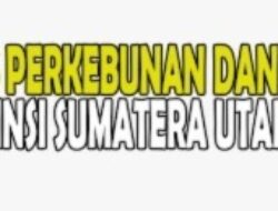 Hak Jawab Dinas Perkebunan dan Peternakan Sumut