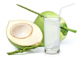 Air Kelapa Bisa Sembuhkan Sejumlah Penyakit