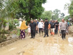 Dolly Tinjau Wilayah Terdampak Banjir Bandang di Tapsel