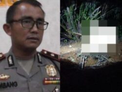 Mayat Pria Ditemukan Membusuk di Ladang Sawit, Identitas Korban Diselidiki