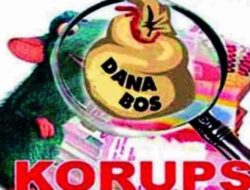 Usut Dugaan Korupsi Dana BOS di SD Muhammadiyah 9 Medan