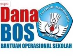 Rekanan PT CTT Pakai “Alamat Palsu”, Realisasi Dana BOS Disdik Langkat Diduga Fiktif