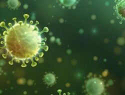 Penyakit Misterius Mirip Flu Tewaskan Puluhan Orang