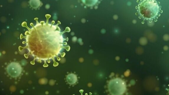 Penyakit Misterius Mirip Flu Tewaskan Puluhan Orang