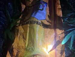 Siswi SMP Ditemukan Tak Bernyawa di Kebun Sawit