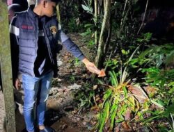Cinta Segitiga Bikin Hilang Nyawa, Kepsek Dihabisi Mantan Kekasih Calon Istri