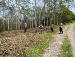 Polres Pakpak Bharat Cek Lokasi Penanaman 1 Juta Hektare Bibit Jagung