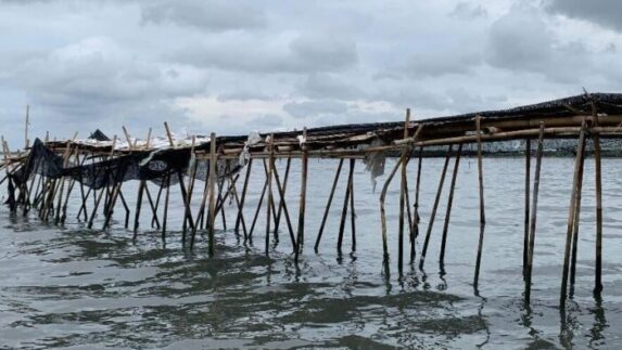 Sertifikat HGB dan SHM Pagar Laut Tangerang Batal Diterbitkan