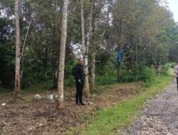 Polres Pakpak Bharat Tunjukkan Progres Kesiapan Tanam Serentak Bibit Jagung