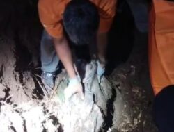 Sadis, Bocah Umur 6 Tahun Dikubur Hidup-hidup Oleh Kekasih Ibunya