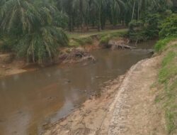 Limbah Diduga dari PKS PTPN IV PSL Cemari Sungai Besilam