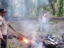 “Ninja” Kepergok Saat Maling Sawit, Motornya Dibakar Warga