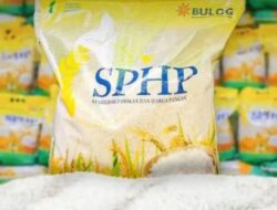 Perkara Gas Subsidi Belum Usai, Kini Bulog Hentikan Distribusi Beras SPHP