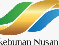 Keuangan PTPN Grup Setelah Holding Hutang Lebih Tinggi (1)