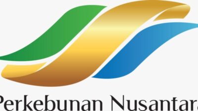 Keuangan PTPN Grup Setelah Holding Hutang Lebih Tinggi (1)