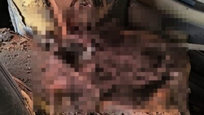 Kerangka Manusia Ditemukan Dalam Mobil Milik Oknum Polisi