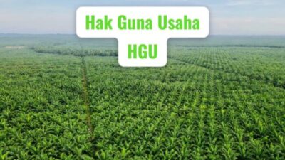 Pengurusan HGU, HPL, dan HGB PTPN VIII Senilai Rp23.293.770.000 Tak Dilaksanakan