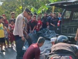 Pohon Besar Tumbang Timpa Pondok, Dua Tewas