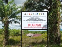 Lahan Sawit Milik Salim Group Disegel, Ini Masalahnya