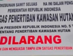 Ribuan Hektare Kebun Sawit Milik Kelompok Musim Mas Disegel