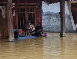 Tanggul Jebol, Ratusan Rumah di Pati Terendam Air