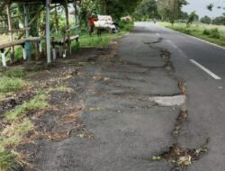 Jelang Lebaran, Pemkab Jember Tak Kunjung Perbaiki Jalan Rusak