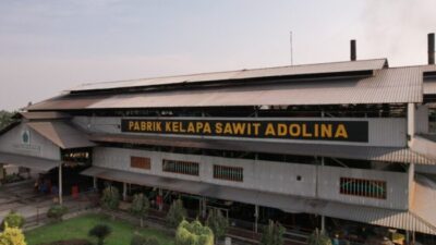 Pengelolaan Benih Unggul Kelapa Sawit Adolina Berpotensi Melawan Hukum