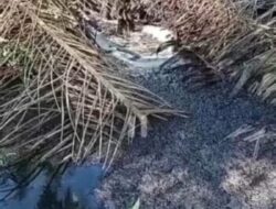 Polda Sumut Belum Berani Usut Limbah PKS PTPN 4 Bah Jambi